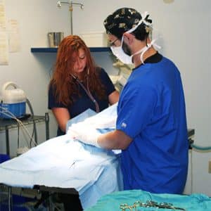 Nurse and Doctor perform surgery.