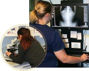 Doctor reviews and xray and a nurse runs tests.