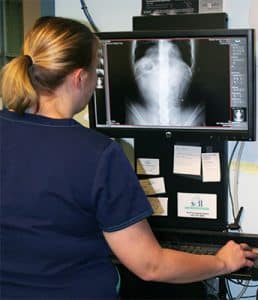 Doctor reviews an xray.